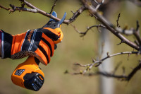 Villager aku makaze za grane orezivanje VBP 20